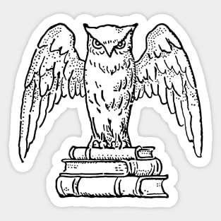 Wise Owl Sticker